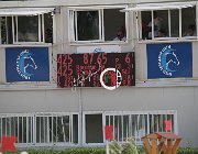 Schmitz Roughan Sparrow CsioArJYR SS7 8087 : CSIO Giovani Arezzo, Roughan Sparrow, Schmitz Edouard, foto Stefano Secchi ©